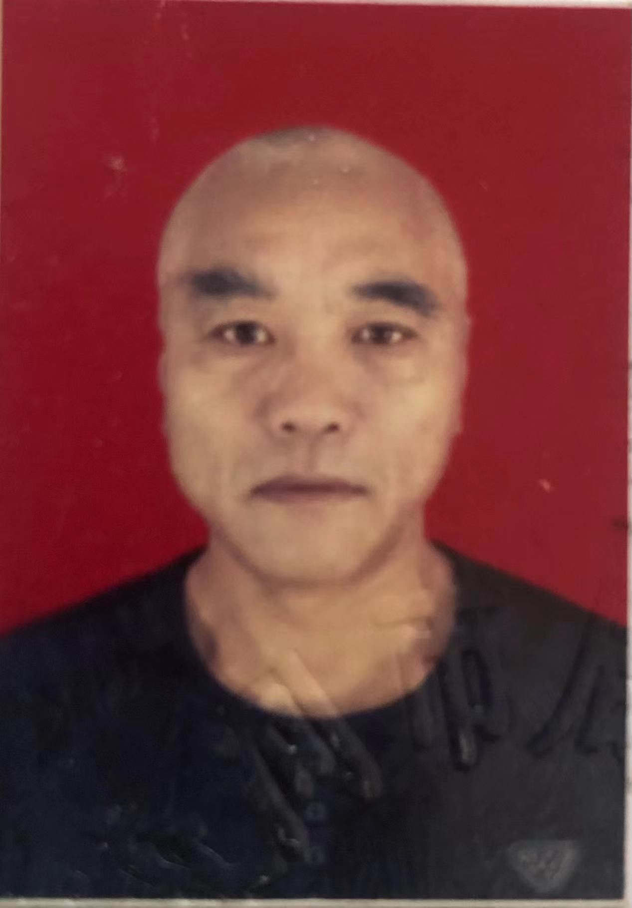 何迎春