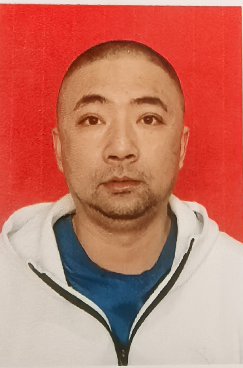 陈哲